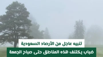 تحذير لـ 5 مناطق.. الأرصاد السعودية تعلن موعد انتهاء موجة الضباب الكثيفة